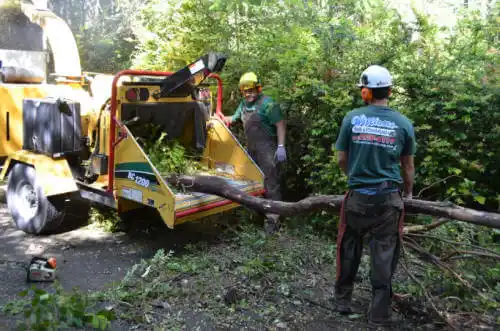 tree services Powder Springs